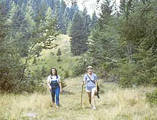 Persone in escursione nella località Albere